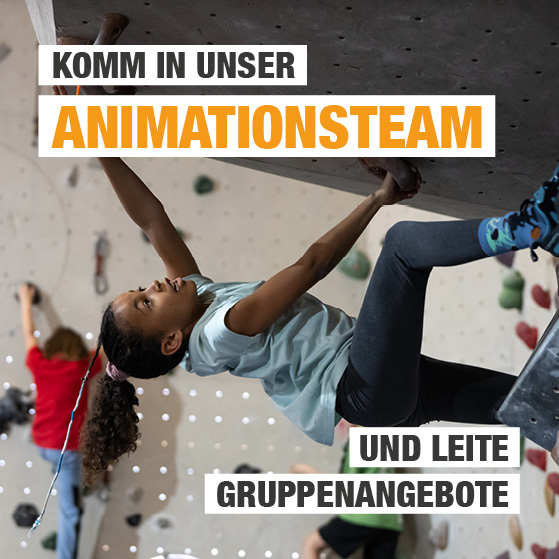 Post_Wir suchen Dich_2025